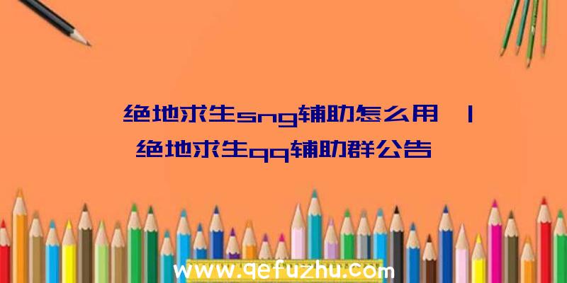 「绝地求生sng辅助怎么用」|绝地求生qq辅助群公告